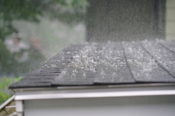 Best Roof Moss and Algae Removal  in Fairhope, PA
